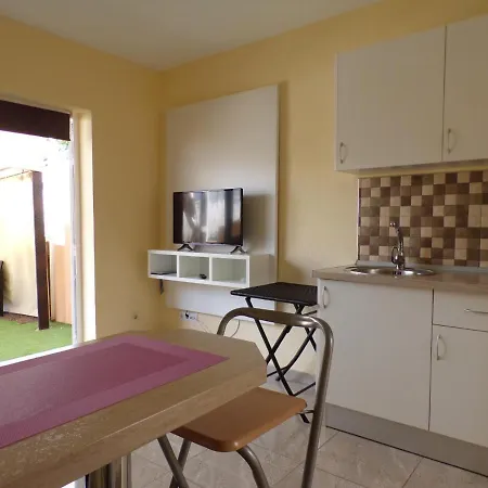 Oasis Green 704 *